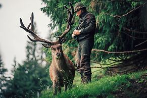 Torghele's Wald & Fluh