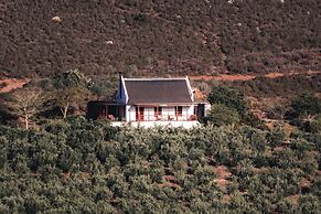 Orange Grove