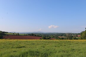 Woodlands