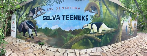 Selva Teenek
