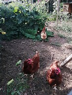 La Jariette