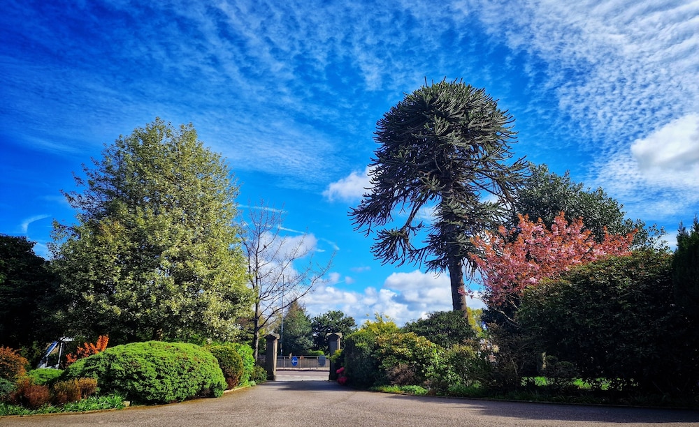 The Pines Guesthouse