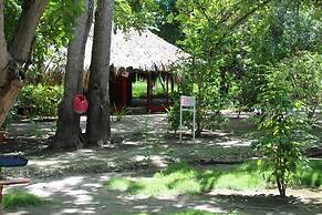 Las Palmeras