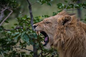 Safari Moon Luxury Bush Lodge