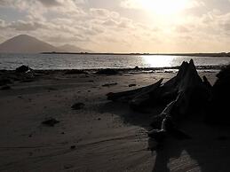 Nature Retreat - Sleeps 4 & Wild Ponies