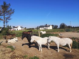Nature Retreat - Sleeps 4 & Wild Ponies
