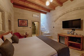 Concept Cave House