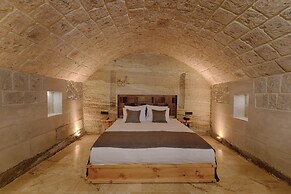 Concept Cave House