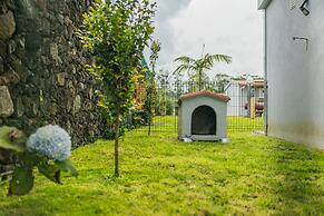 Parrots Village
