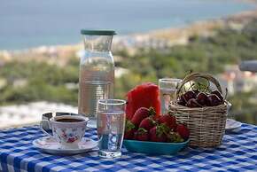 Assos Derin Mavi