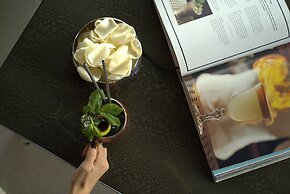 M House Art Hotel
