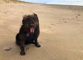 Saltee View Holiday Home