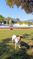 Loup Castel Boutique Hotel B&B