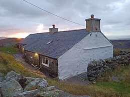 Bryn Derwen