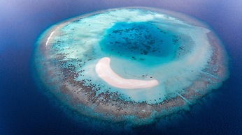 Dhangethi Inn