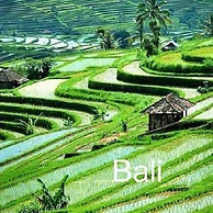 Villa Bali OM Center