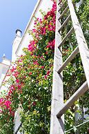 Masseria Messapia Wine Resort & SPA