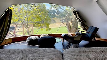 camel hotel resort