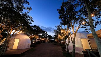 camel hotel resort