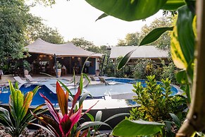 Shongwe Oasis