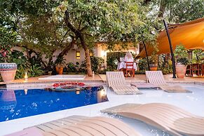 Shongwe Oasis