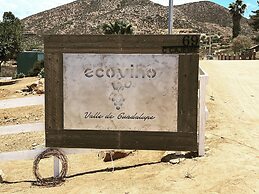 Ecovino Valle de Guadalupe
