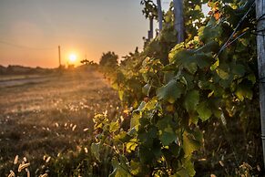 VANDENBELD Wines B&B