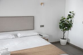 Vitium Córdoba