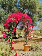 Finca Sa Canova Agroturismo