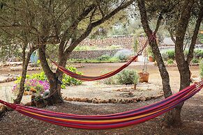 Finca Sa Canova Agroturismo