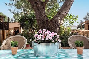 Finca Sa Canova Agroturismo