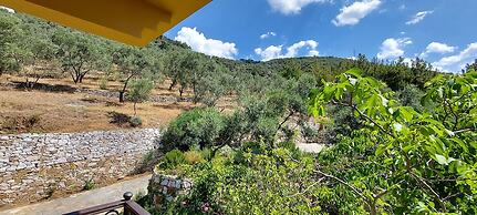 Malikane Luxury Resort