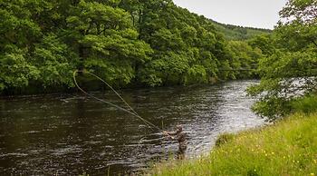 Conon Hotel