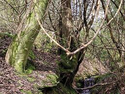 Ghyll Park Farm