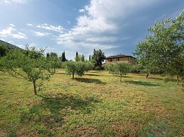 Apartment in Chianti With Pool ID 455