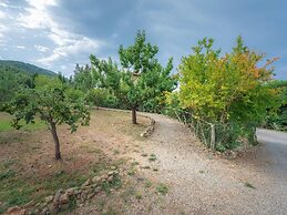 Apartment in Chianti With Pool ID 456