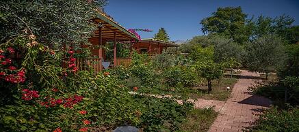 Felicity Hotel & Bungalows