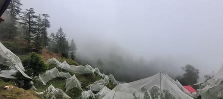Hari om paradise