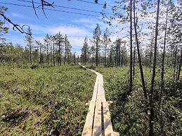 Långforsen Lapland Experience