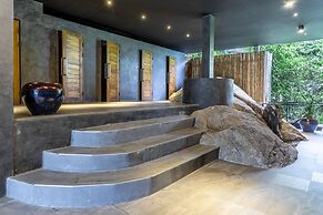 Vikasa Yoga Retreat