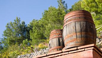 Finca el tossal