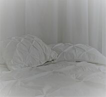 ATEMPORAL bed and breakfast Hotel