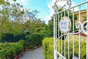 Daisy House
