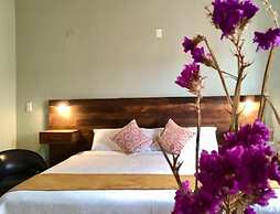 Arte Sano Hotel San Cristobal