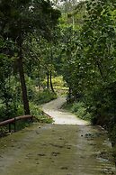 Punarnava Resort & Spa