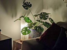 APARTAMENTO HERMOSO ALDEA ZAMA TAO TULUM