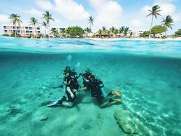 Chogogo Dive & Beach Resort Bonaire