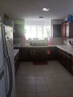 Summer Stay