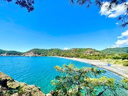 Santana Gocek