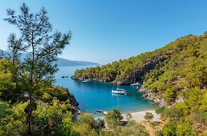 Santana Gocek